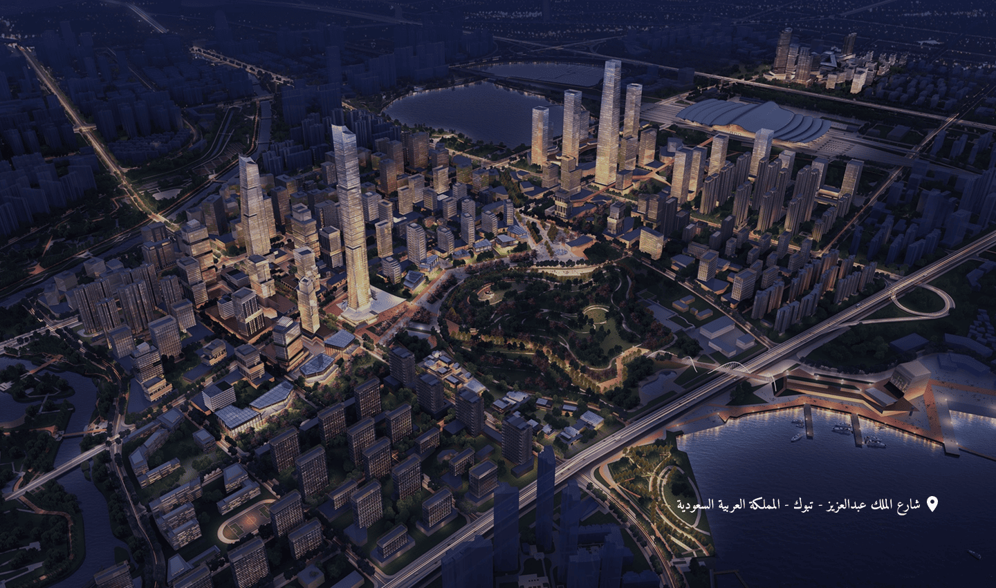 مؤسسة محمد شاهين